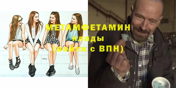 крисы Козельск