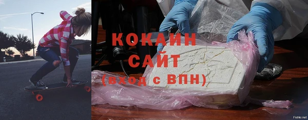 крисы Козельск