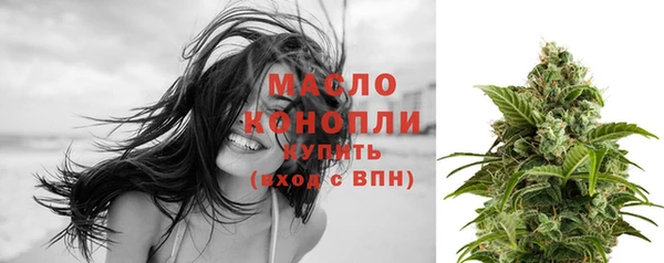 крисы Козельск