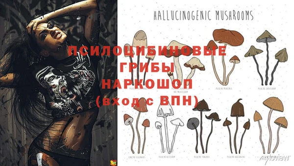 амф Кодинск