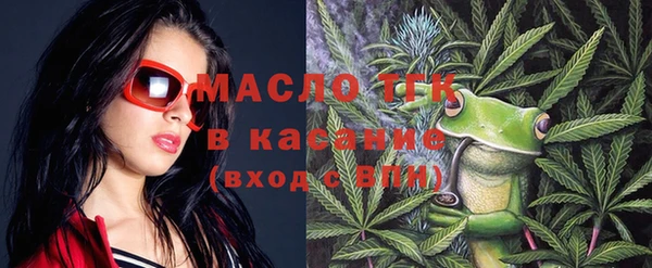 крисы Козельск
