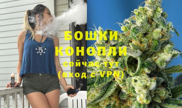 крисы Козельск