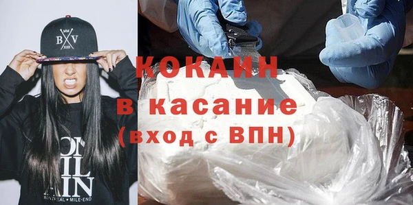 крисы Козельск