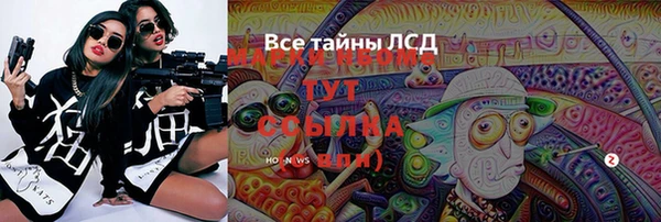 крисы Козельск