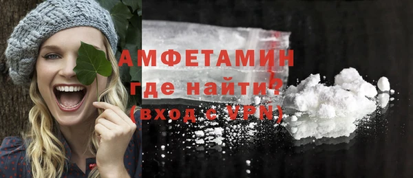 крисы Козельск