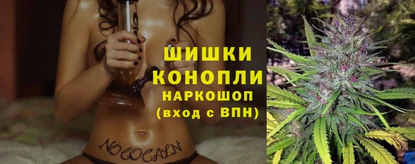 крисы Козельск