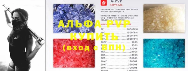 крисы Козельск